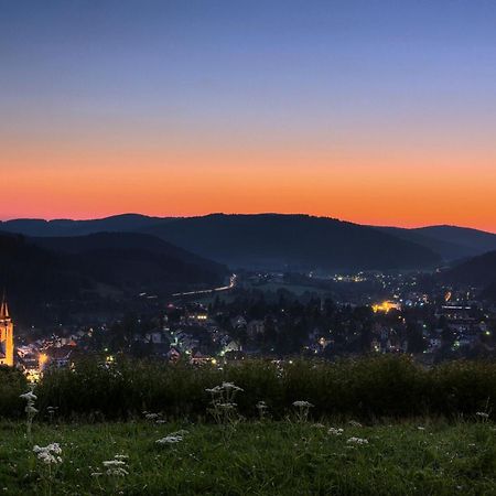 Drei Tannen - Wohnung 04 - Apartmenthaus, Titisee, Nahe Badeparadies Eksteriør bilde