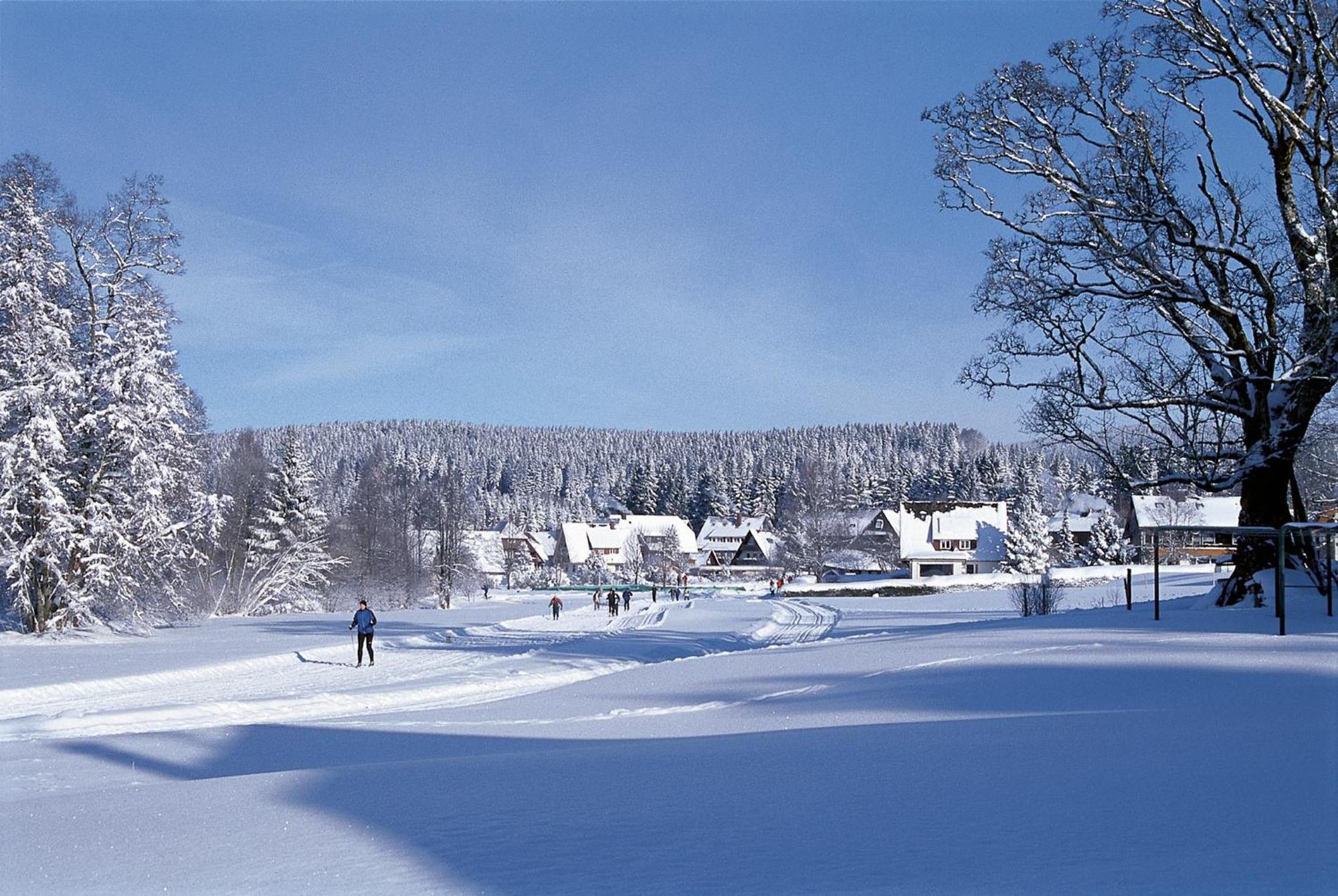 Drei Tannen - Wohnung 04 - Apartmenthaus, Titisee, Nahe Badeparadies Eksteriør bilde