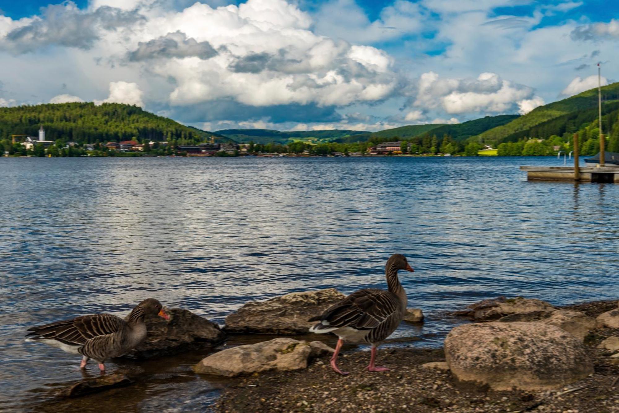 Drei Tannen - Wohnung 04 - Apartmenthaus, Titisee, Nahe Badeparadies Eksteriør bilde