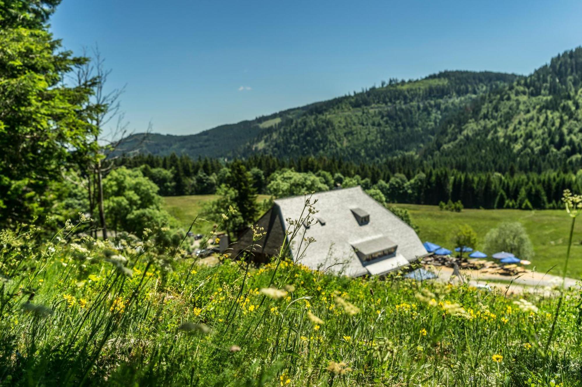 Drei Tannen - Wohnung 04 - Apartmenthaus, Titisee, Nahe Badeparadies Eksteriør bilde