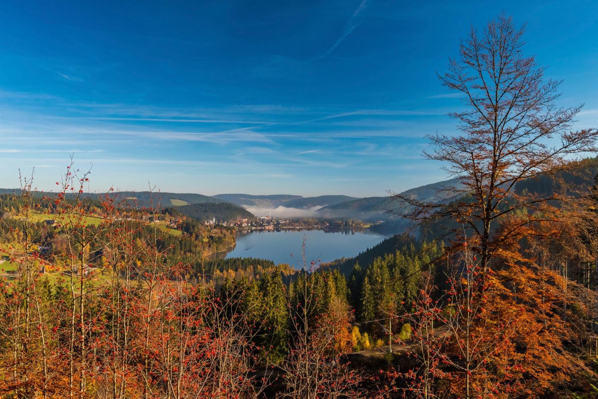 Drei Tannen - Wohnung 04 - Apartmenthaus, Titisee, Nahe Badeparadies Eksteriør bilde